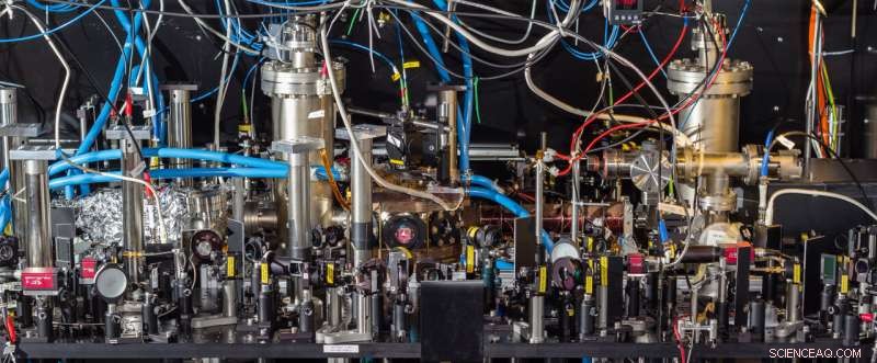 Direct Observation of the Pauli Exclusion Principle in Ultracold Fermi Gases