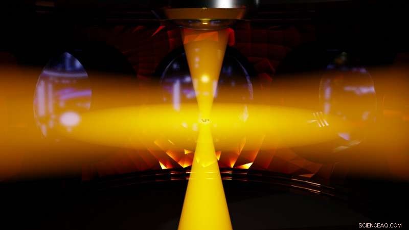 Direct Observation of the Pauli Exclusion Principle in Ultracold Fermi Gases