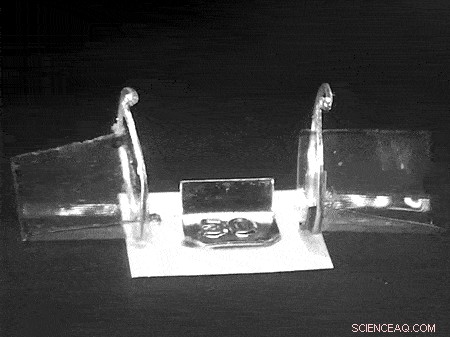 Researchers Develop High‑Torque Light‑Powered Actuator