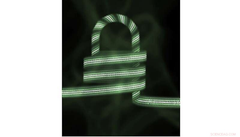 Quantum Computing: Harnessing Controlled Ignorance for Secure Computation