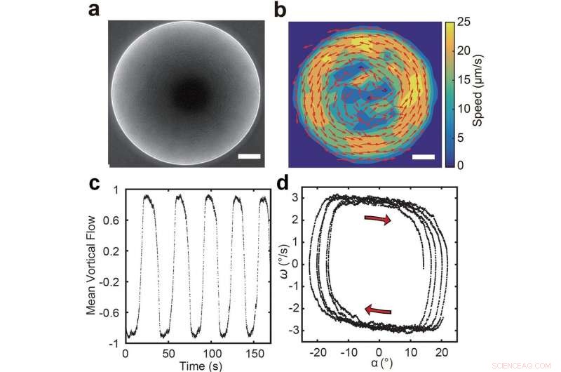Physicists Unveil Novel Pathway to Active Matter Self‑Organization
