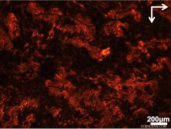 Revolutionary Light-Activated Chiral Nanotech Speeds Up Drug Screening