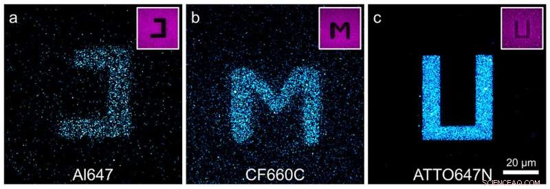 Photoblueing: How It Undermines Microscopy Accuracy