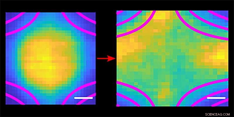 Capturing the World s Coldest Plasma: A Breakthrough in Ultracold Plasma Technology