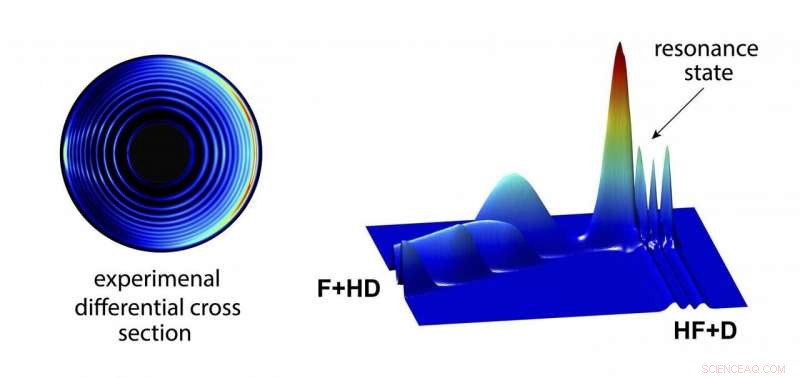 Detailed Analysis of Scattering Patterns in the F + HD → HF + D Reaction