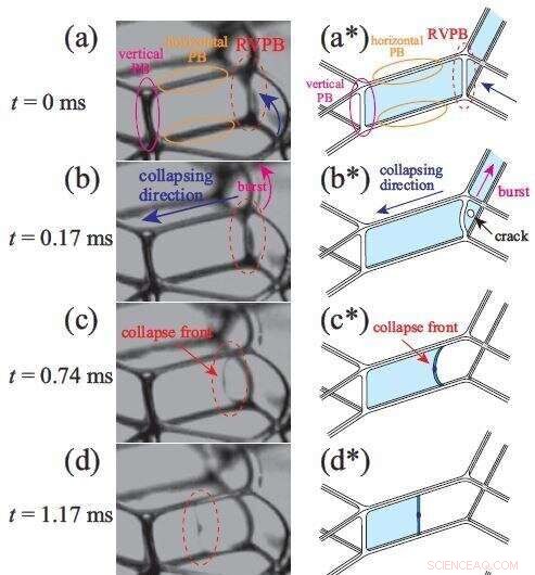 Understanding Foam Collapse: When They Fail and When They Persist