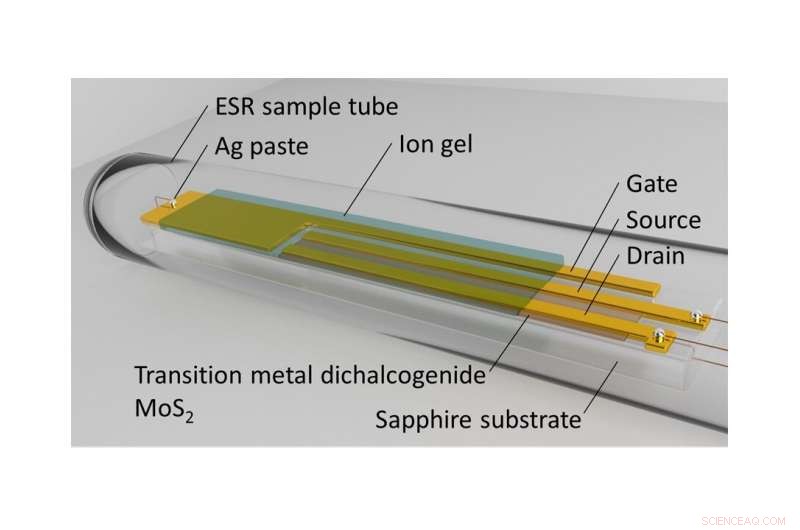 Exploring Spin Dynamics in 2D Materials