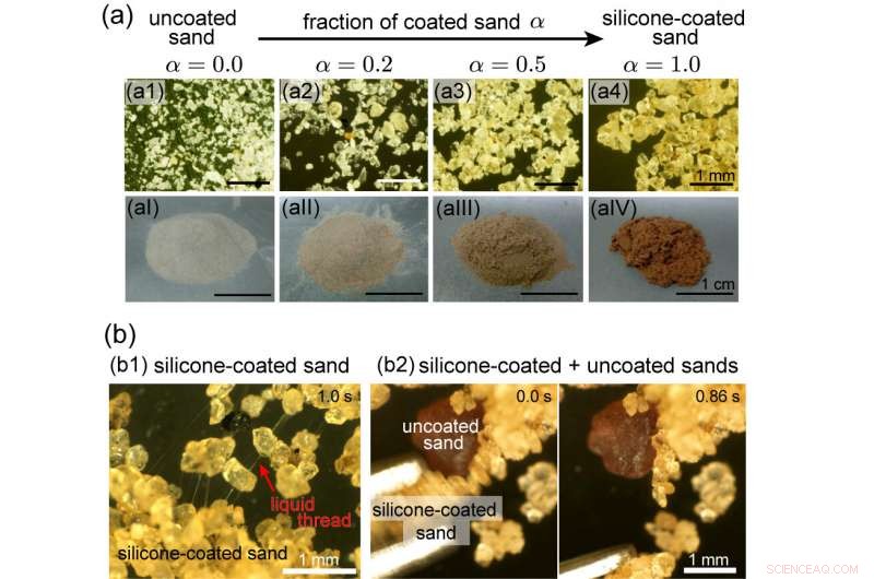 How Magic Sand Reveals New Insights into Granular Matter Physics