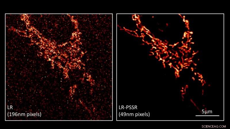 Revolutionary AI Technique Makes Deep Learning Microscopy Accessible to All