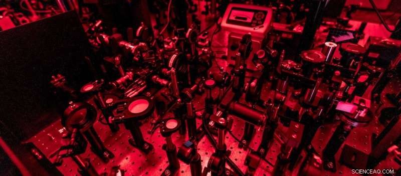 Exploring Photonic Berry Curvature in Dual Liquid Crystal Microcavities with Broken Inversion Symmetry