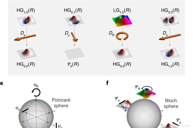 Revolutionizing Nano‑Spectroscopy: A Theoretical Framework for Polarized Electron‑Beam Analysis