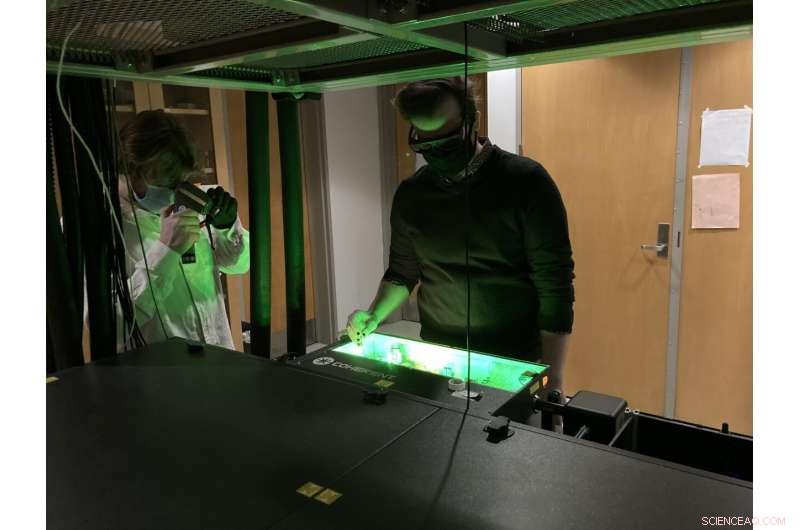 Bacteria use quantum mechanics to protect their photosynthetic machinery, study shows