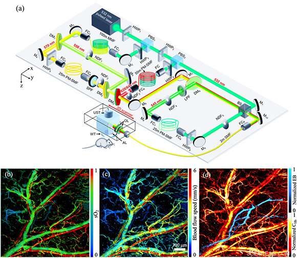 Revolutionary OR‑PAM Technique Delivers Real‑Time, Multicontrast Imaging
