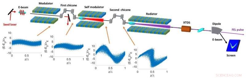 New Self‑Modulation Technique Enhances Performance of Seeded Free‑Electron Lasers
