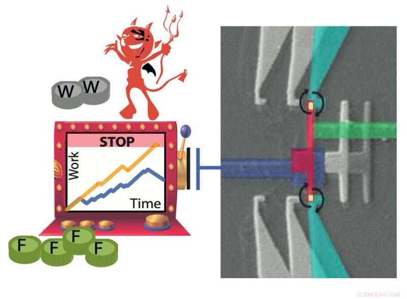 A New Class of Information Demon Optimizes Gambling Outcomes