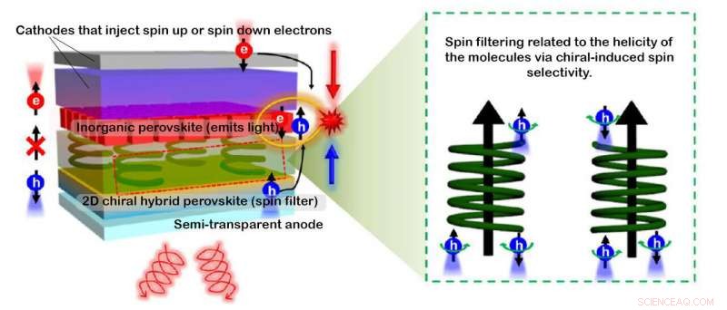 Breakthrough Perovskite LED Produces Circularly Polarized Light