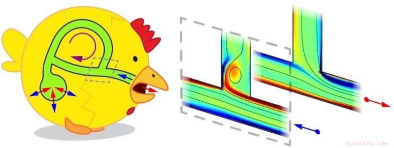 Why Birds Breathe More Efficiently: Scientists Reveal Surprising Lung Design