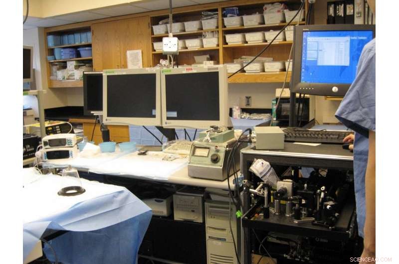 Advanced ILSI Imaging System Predicts High-Risk Plaques to Prevent Heart Attacks