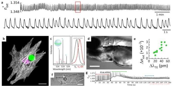 Advanced Biosensing Using Whispering‑Gallery Mode Lasers for Single‑Cell Analysis