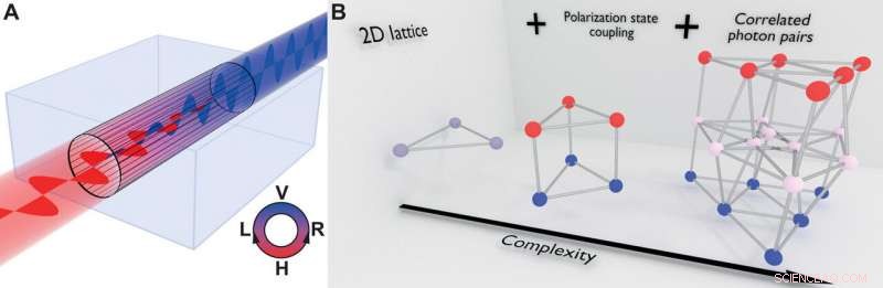 Three-Dimensional Quantum Walks of Correlated Photons for Advanced Graph Exploration