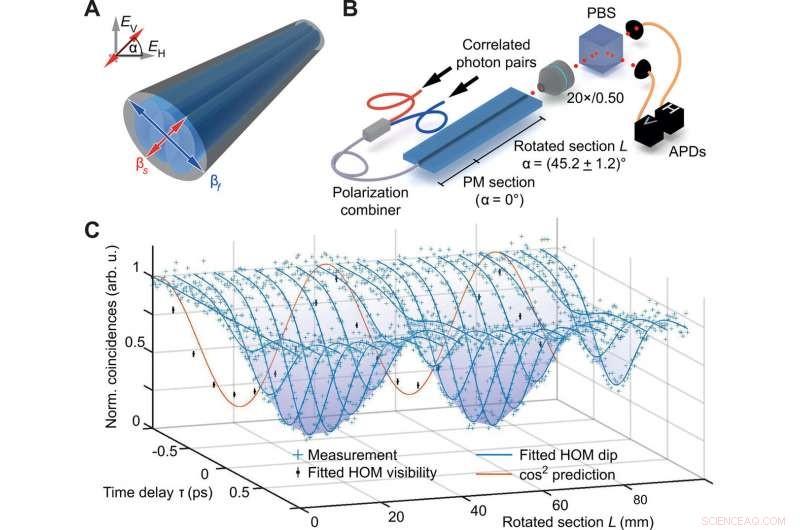 Three-Dimensional Quantum Walks of Correlated Photons for Advanced Graph Exploration