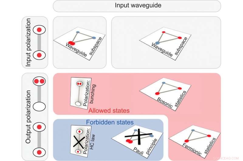 Three-Dimensional Quantum Walks of Correlated Photons for Advanced Graph Exploration