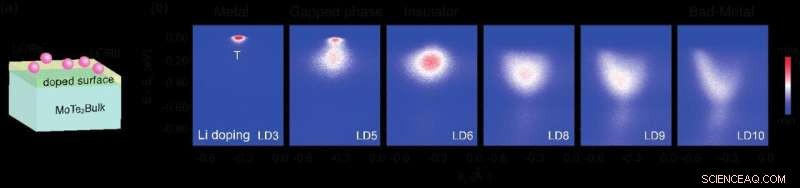 Surface‑Doped Transition Metal Dichalcogenides Exhibit a Novel Metal‑Insulator Transition