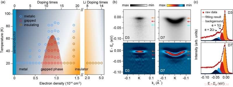 Surface‑Doped Transition Metal Dichalcogenides Exhibit a Novel Metal‑Insulator Transition