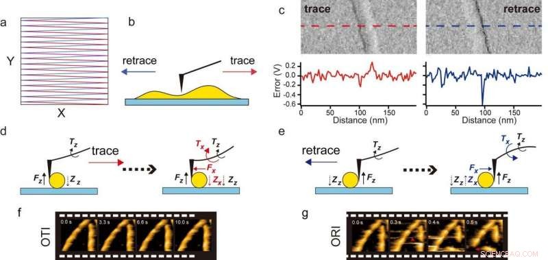 Accelerated, Non‑Invasive AFM Techniques for High‑Resolution Biomolecular Imaging