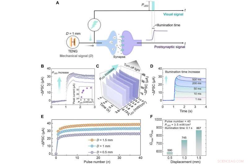 Bio-Inspired Mechano-Photonic Synapse: Advancing Neural Interfaces with Graphene/MoS2
