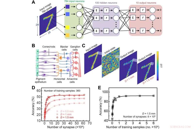 Bio-Inspired Mechano-Photonic Synapse: Advancing Neural Interfaces with Graphene/MoS2