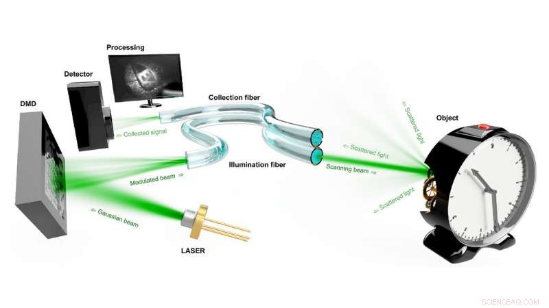 Holographic Endoscopes: Advancing Remote Observation of Distant Objects