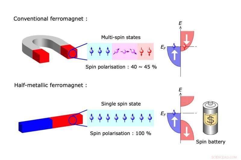 Harnessing Spin Dynamics in Heusler Alloys for Next-Gen Spintronics