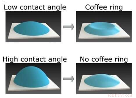 Monash-led International Study Deciphers Coffee Ring Mystery, Advancing Diagnostic Research