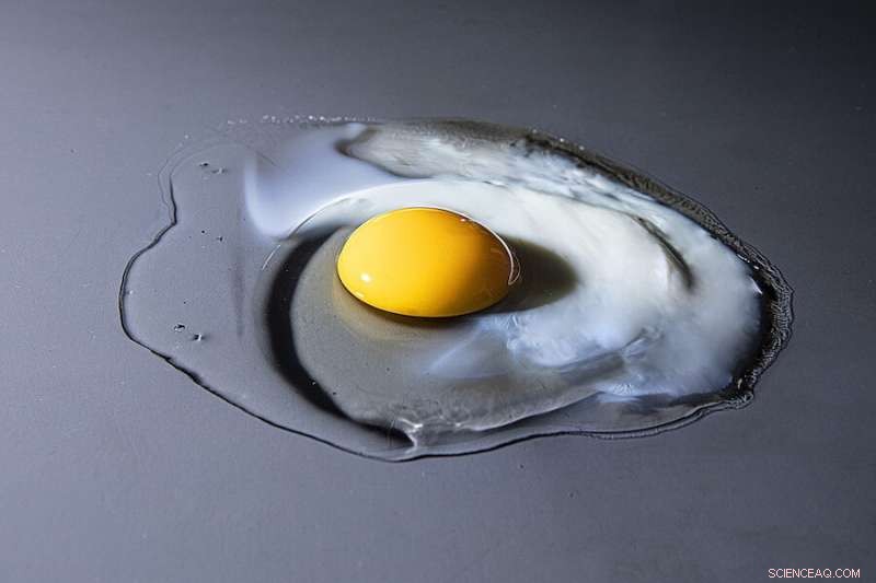 X-Ray Insight: How Cooking Transforms an Egg s Structure