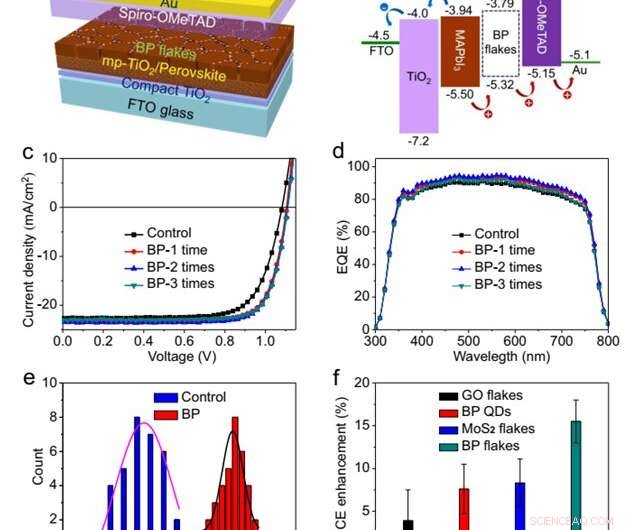Enhancing Perovskite Solar Cell Efficiency with 2D BP Grain Boundary Hole Transport