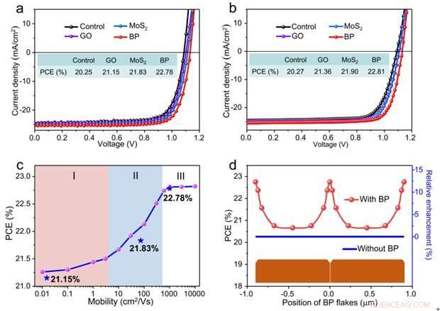 Enhancing Perovskite Solar Cell Efficiency with 2D BP Grain Boundary Hole Transport