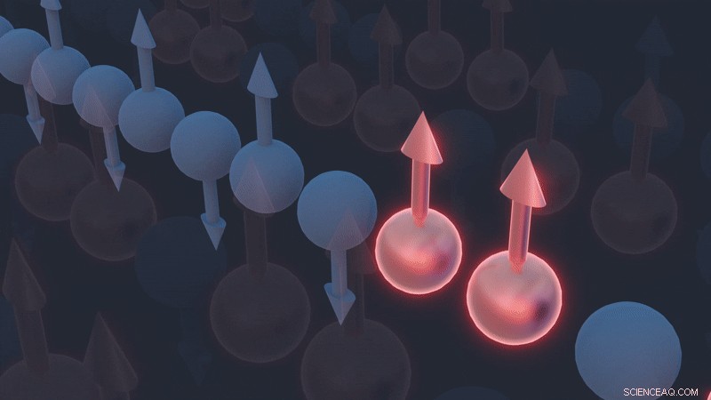 Quantum Materials Confirm Subtle Spin Dynamics, Validating Key Theoretical Models