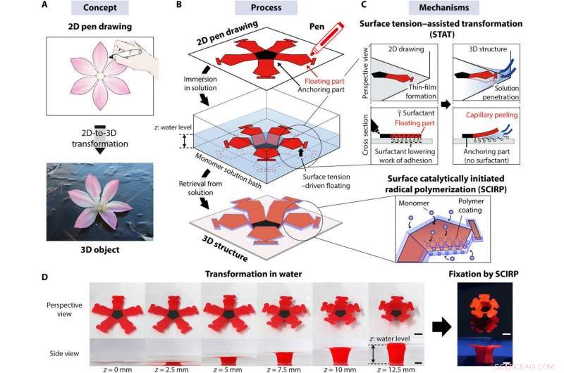 Seamless 2D‑to‑3D Conversion of Pen Drawings with 4D Printing