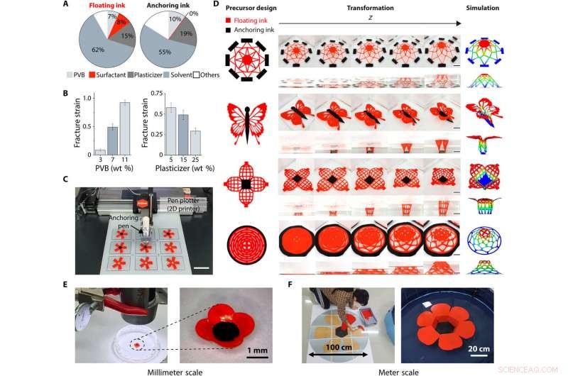 Seamless 2D‑to‑3D Conversion of Pen Drawings with 4D Printing