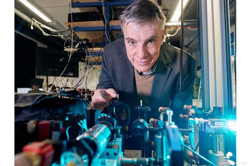 Physicists Unveil a Novel Phase in Photon Bose-Einstein Condensates
