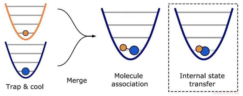 Scientists Prolong Dipolar Molecule Lifespan Using Advanced Trapping Techniques