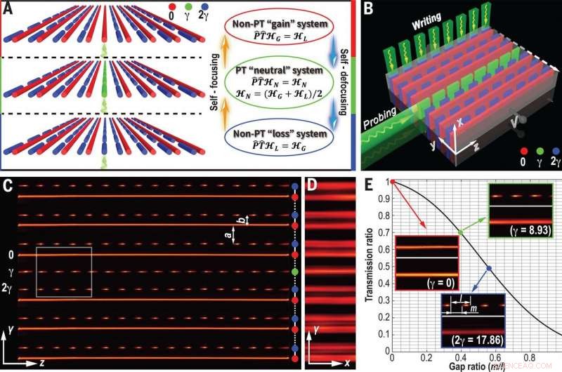 Exploring the Synergy of Topology, Non-Hermitian Physics, and Nonlinear Effects