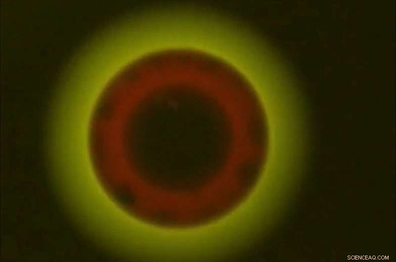 New Study Reveals Three Liquid Phases in Aerosol Particles, Transforming Air Pollution Science