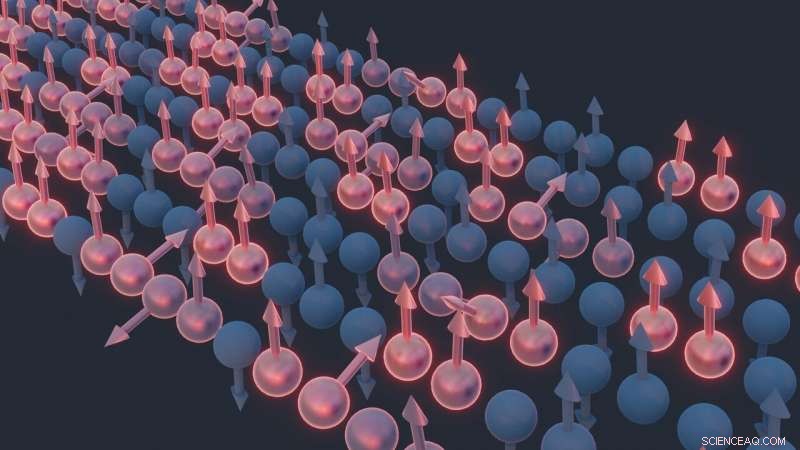 Kardar-Parisi-Zhang Hydrodynamics Observed in a Quantum Material