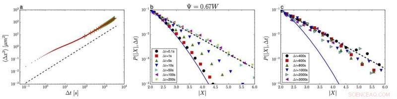 Revisiting Einstein’s Model: New Insights into Brownian Motion and Non‑Gaussian Diffusion