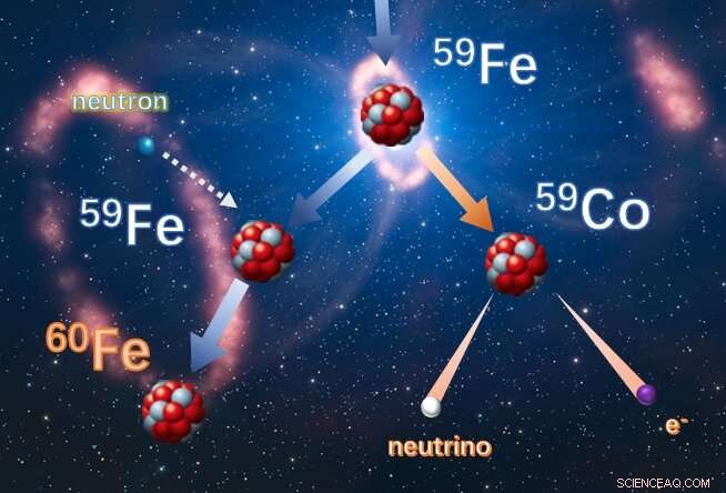 New Insights into the Stellar Origins of Iron‑60 Nuclides