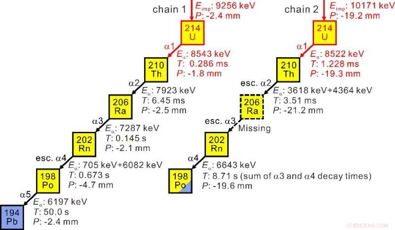 New Study Reveals Significant α-Particle Clustering in Uranium Isotopes