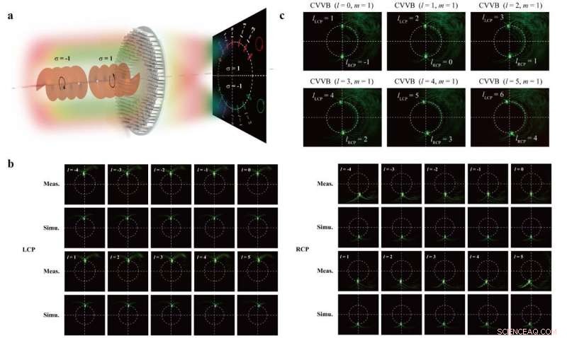 Unified Metasurface for Simultaneous Detection of Spin and Orbital Angular Momentum