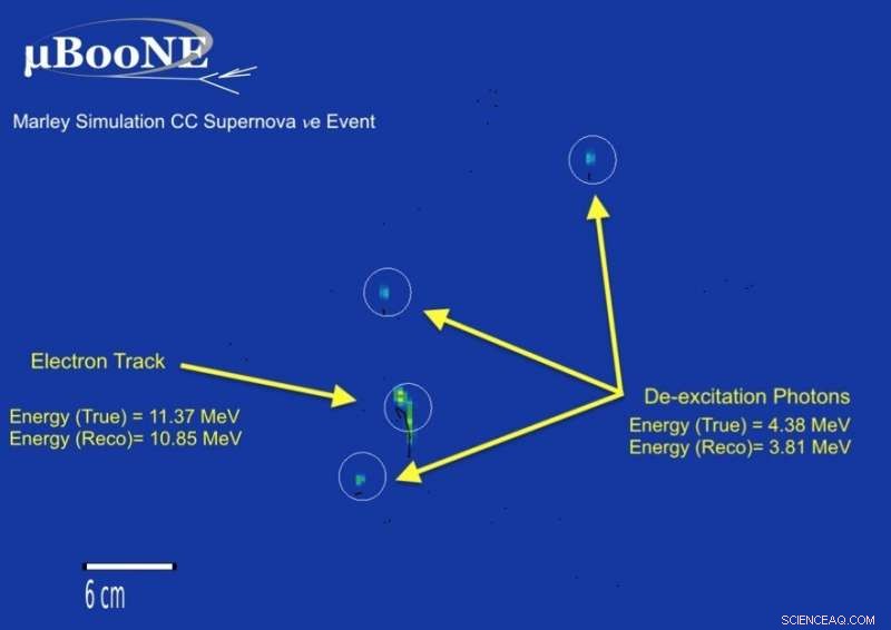 Simulating Argon-Neutrino Collisions from Supernovae for Future DUNE Observations